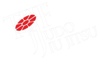 Tecno Judo Fernández